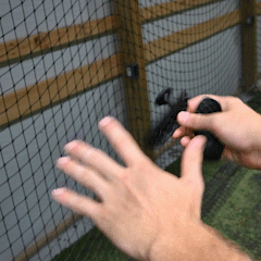 The Gym Grip